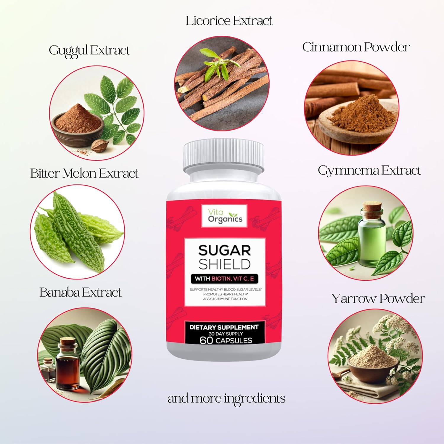 (6 Bottles) Sugar Shield - Advanced Sugar Support Supplement - Biotin, Magnesium Oxide, Chromium - 360 Veggie Capsules - 6 Months