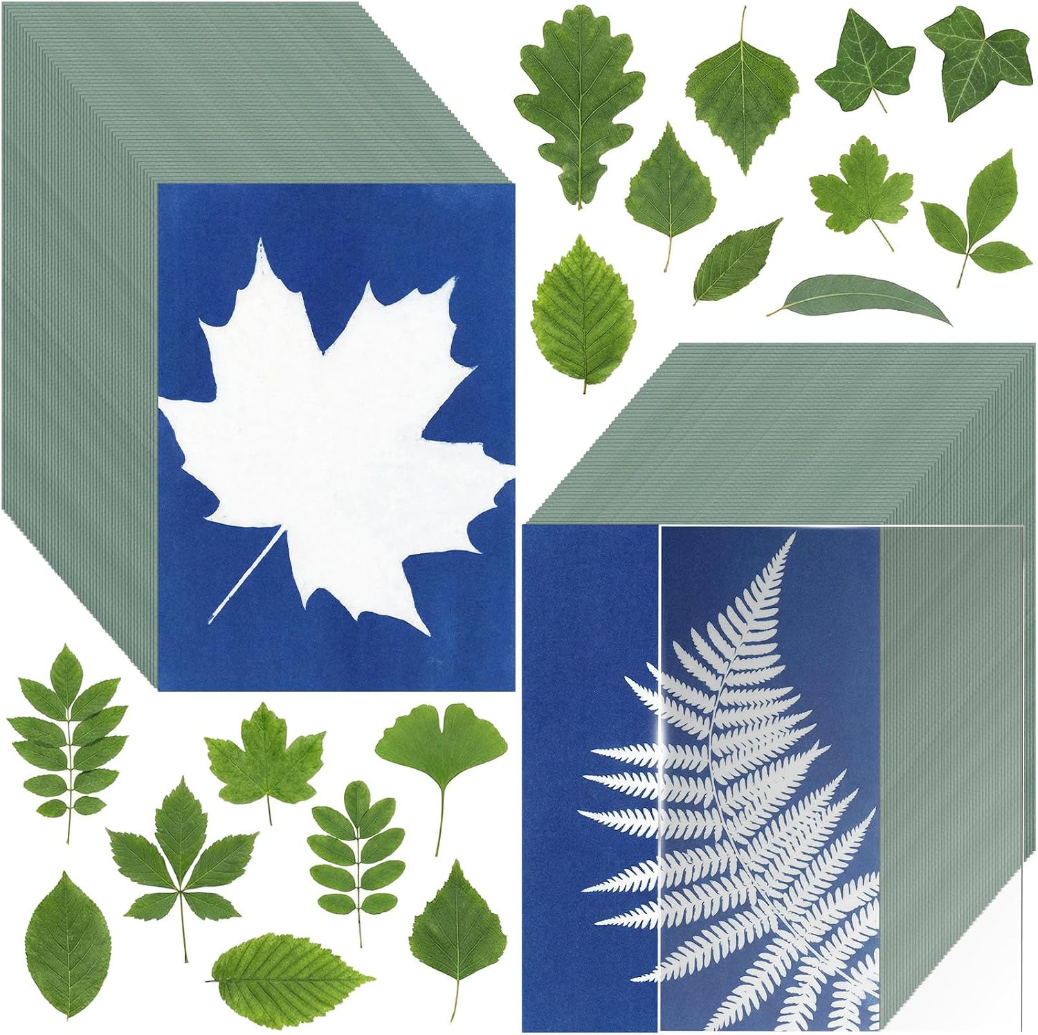 Sun Print Cyanotype Paper Kit, 100 Sheets A6 Cyanotype Papers with 1 Sheet Acrylic Panel, High Sensitive Nature Solar Activated Sun Printing Art Supplies for Arts Crafts DIY Project
