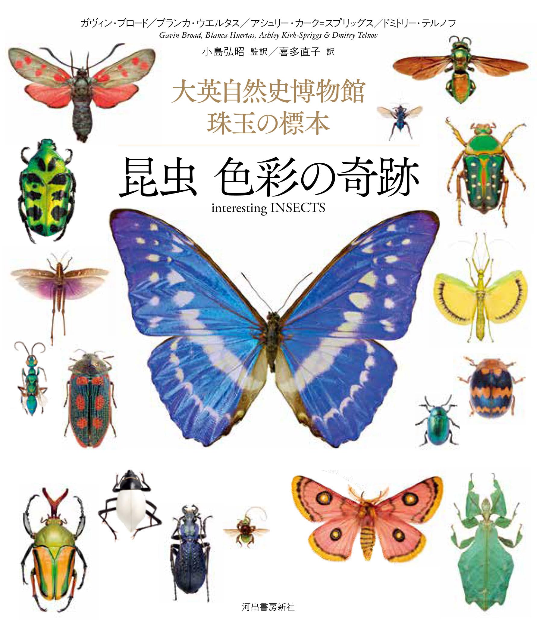 昆虫 色彩の奇跡: 大英自然史博物館 珠玉の標本 | ガヴィン・ブロード