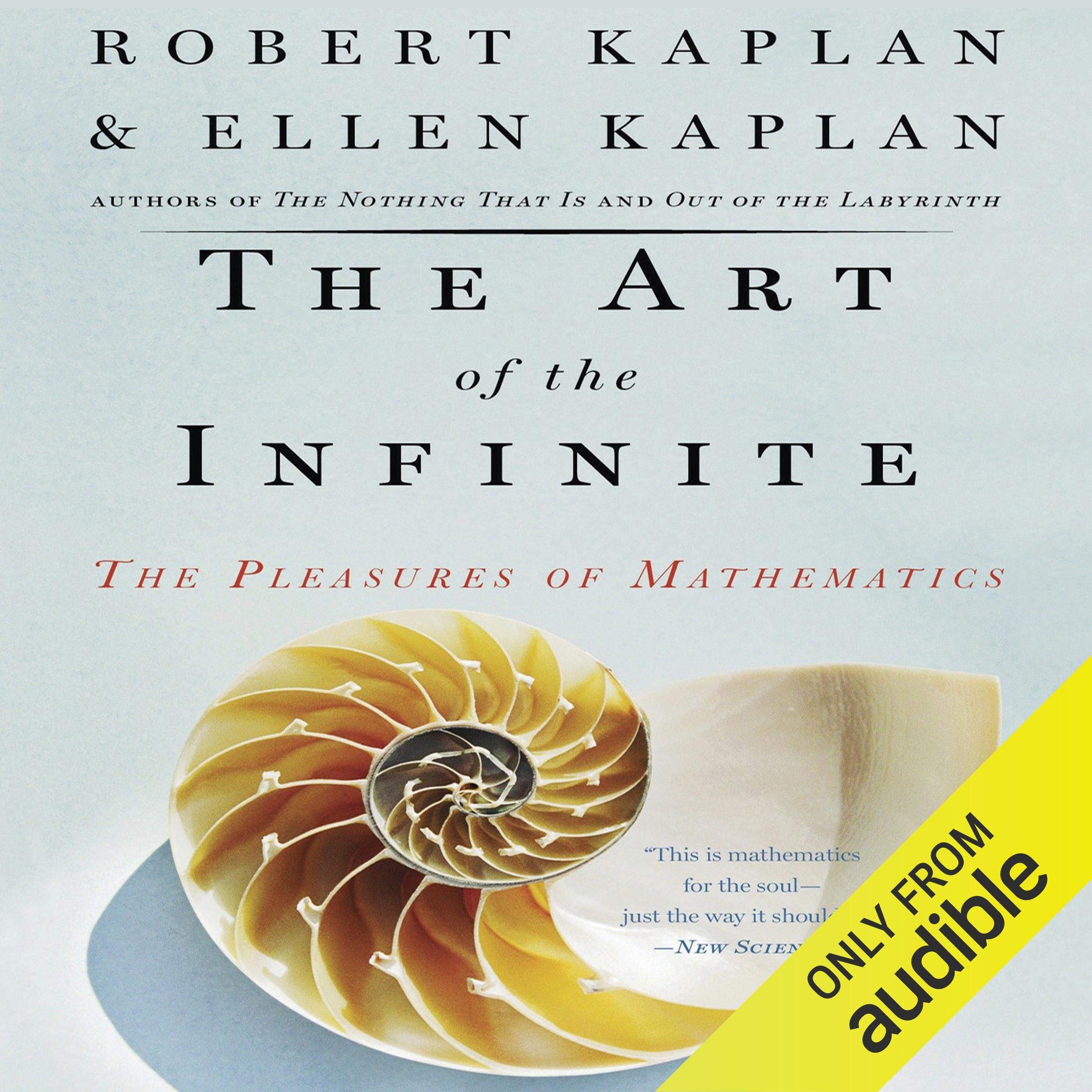 Cover art for The Art of the Infinite