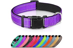 Joytale Indestructible Dog Collar: Unbreakable Protection for Your Canine Companion