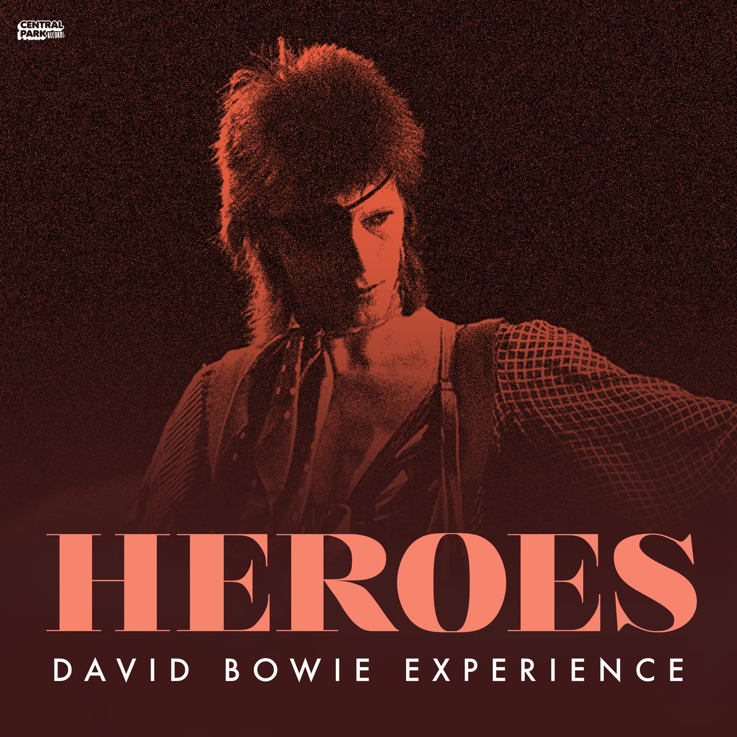 David Bowie Experience