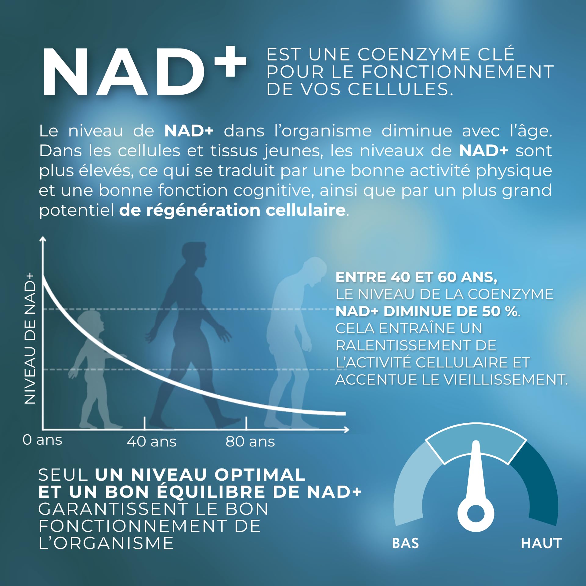1-MNA Brain, Supplément Anti-âge, Optimise le NAD+, avec Ginkgo Biloba, Zinc, Biotine, Vitamines C, B1, B5, B6, B12, L'humeur, Mémoire, Concentration, 30 Capsules