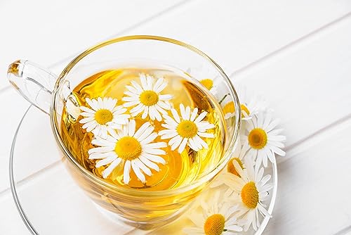 Miniatura 2 de Cozy Up Té de hierbas puro de manzanilla  Cápsulas compatibles con cafeteras Keurig K-Cup  Hora de acostarse, dormir bien, té relajante nocturno, 36