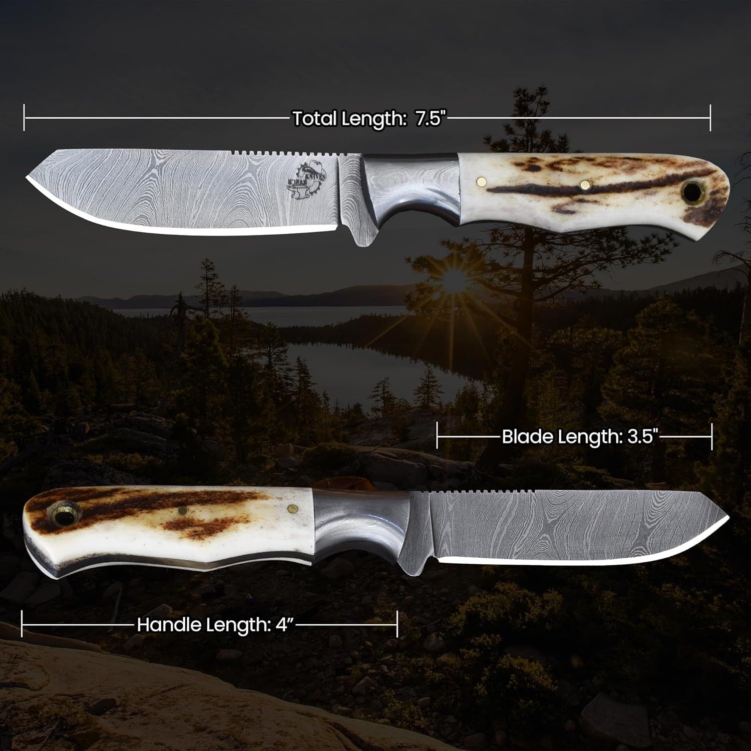 Knives Ranch Svelte Hunting Knife - Handmade - Deer Antler Handle - Horizontal Carry Sheath Snug Fit (2106-SG)