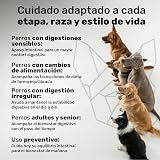 Ver la foto 8
