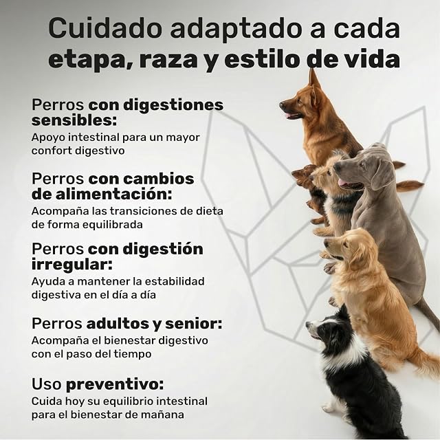 Foto 8 de 8 de Probiótico para Perros - Repara la Flora Intestinal y Protege el Sistema Inmunológico