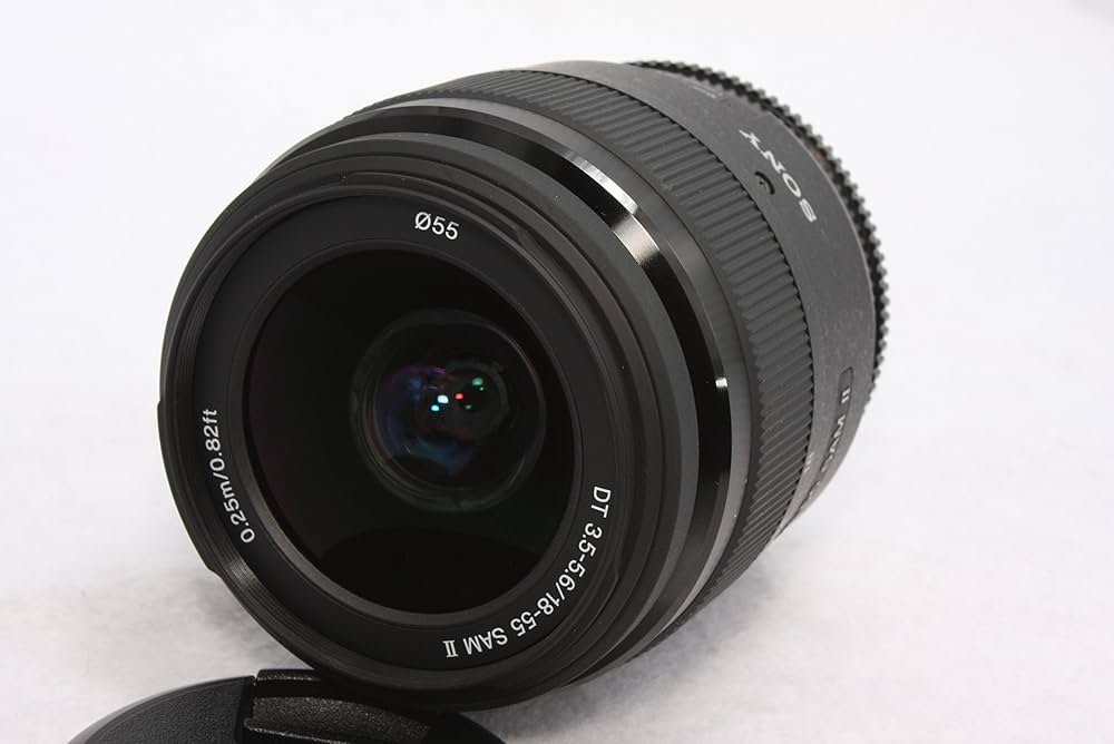 ソニー標準ズームレンズ DT3.5-5.6SAMⅡ Aマウント系 81cNAzjW88L._UF1000,1000_QL80_.jpg