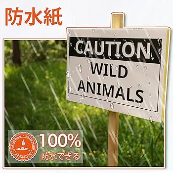 3Ｄ撮影紙  防水 Amazon | Koala 両面印刷できる防水紙 レーザー専用撥水紙 防水