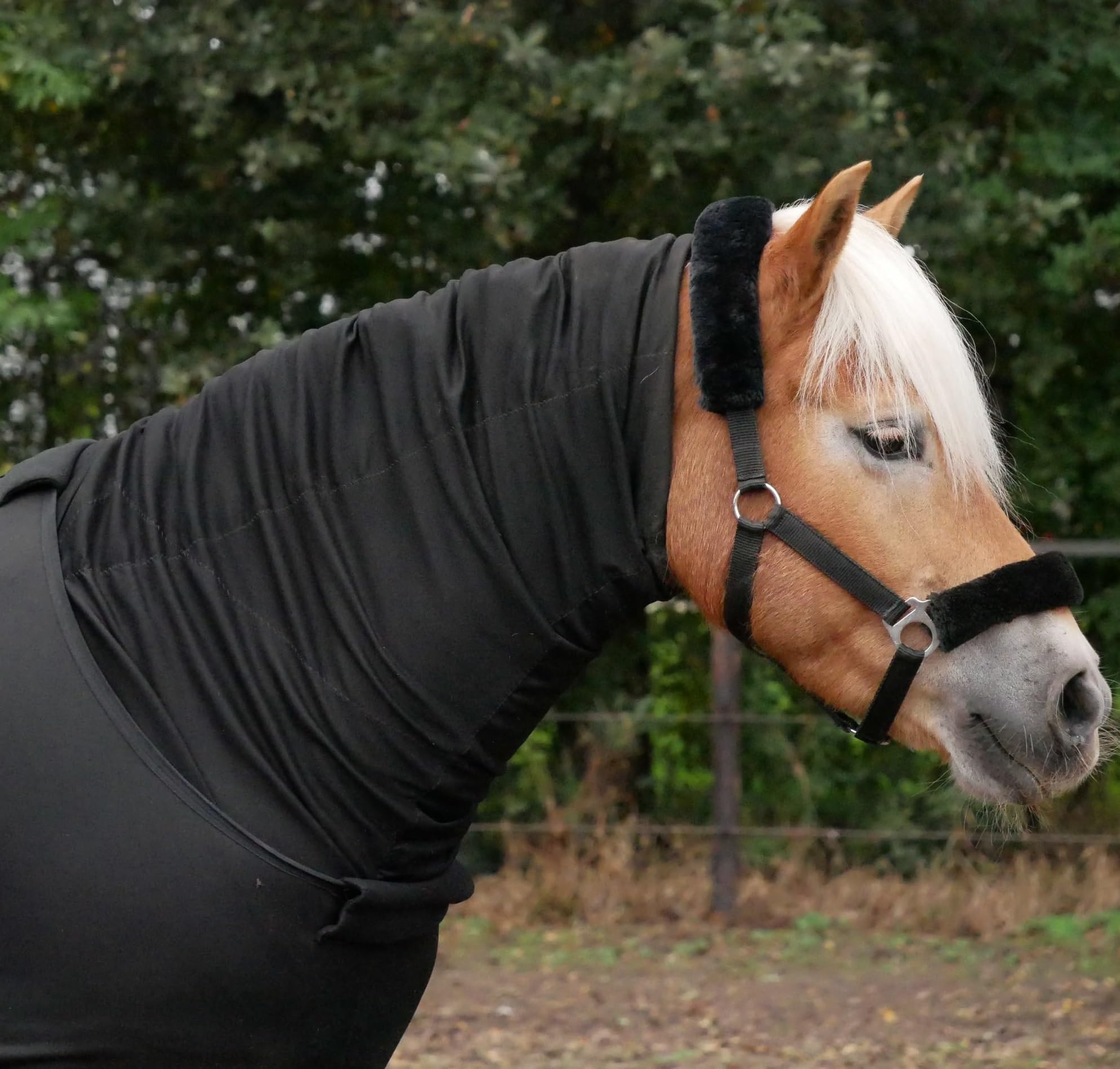 Snuggy Hoods Weatherproof Headless Turn Out Hood for Horse or Pony (Black, XS)