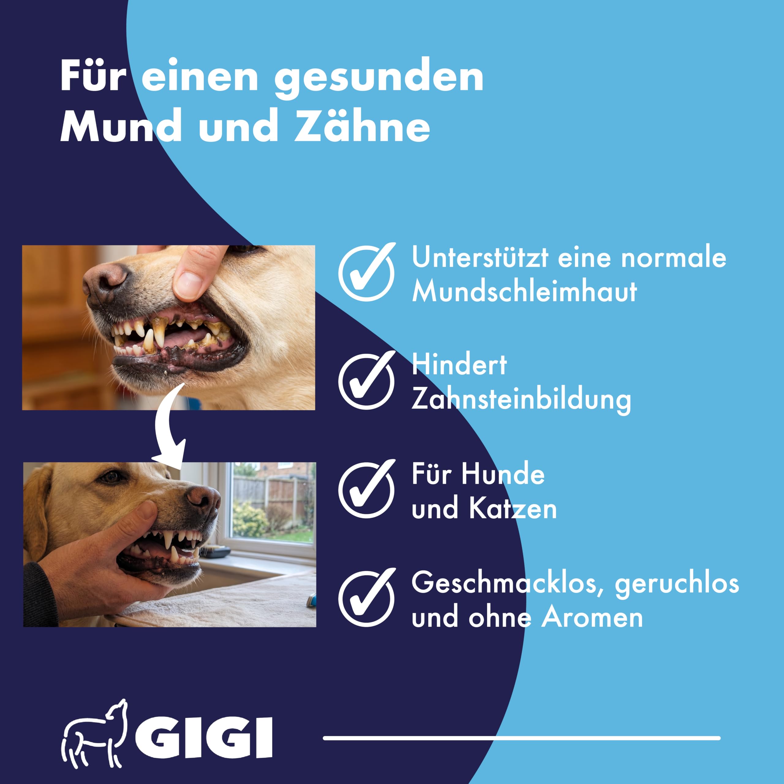 Zahnpflege Pulver für Hunde & Katzen gegen Zahnstein & Zahnbelag | Wasserzusatz für frischen Atem, Mundflora & tägliche Zahnpflege - Dental Care 105 g