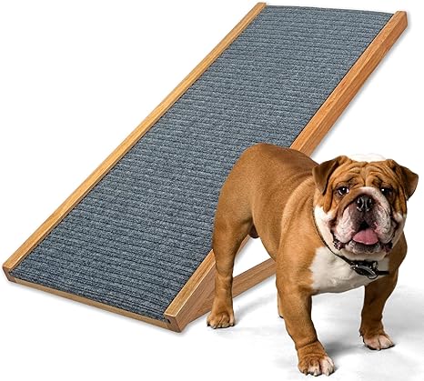 Amazon dog ramp for couch Clearance