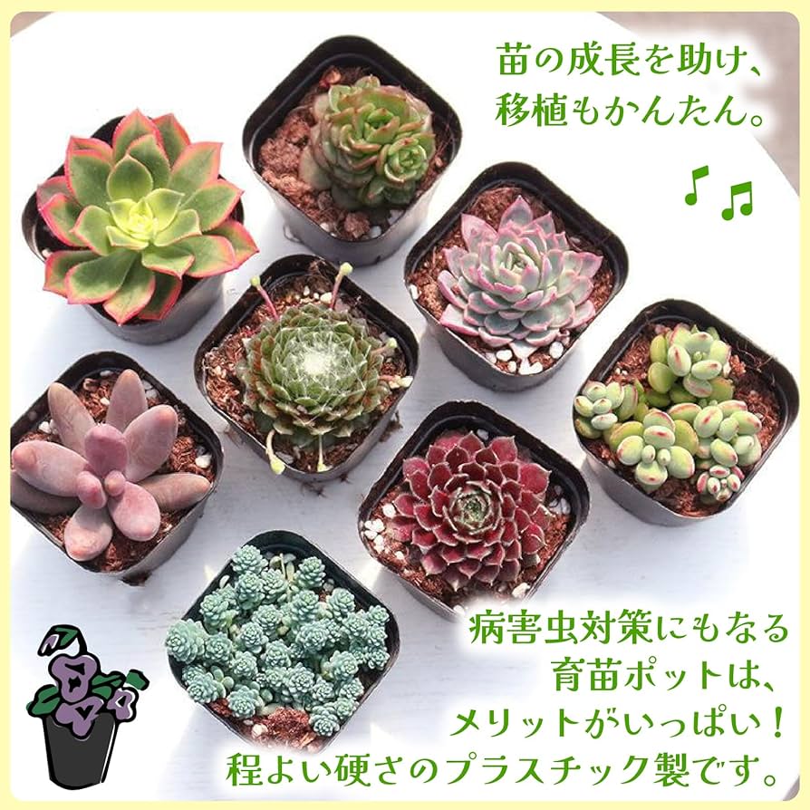 【るな】フラワーポット　5個セット るな】フラワーポット 5個セット るな】フラワーポット 5個