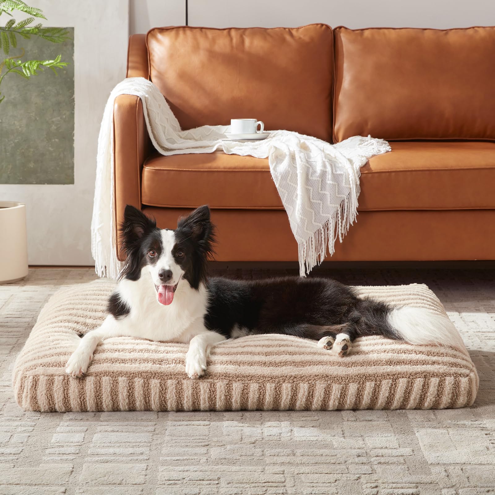 Pawk Cuccia Cane Interno, Cuscino per Cani Taglia Grande, Cuscino Cane Sfoderabile e Lavabile, Cuccia per Cani Soffice Traspirante Antiscivolo, 89x58x10cm