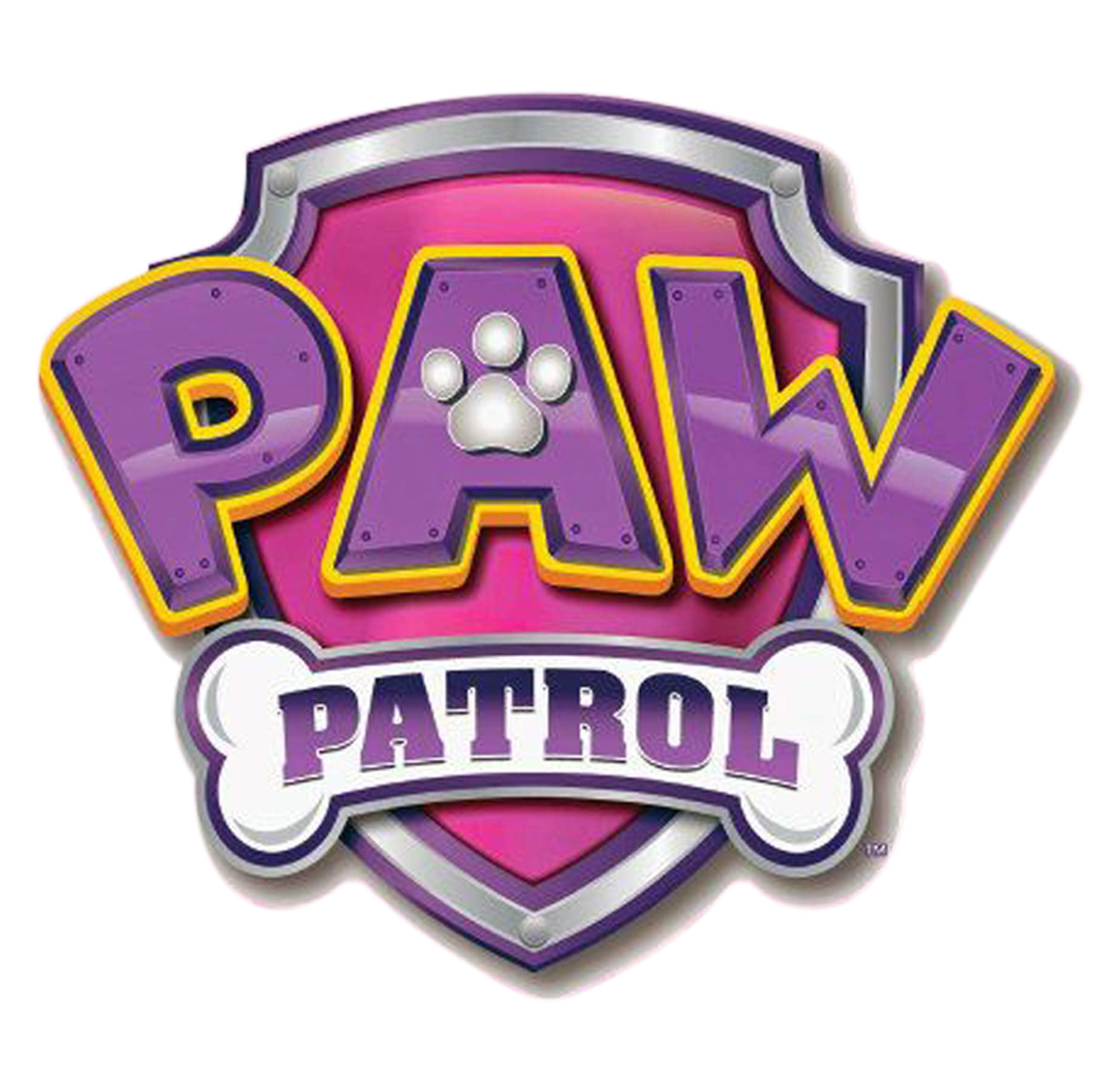 Paw Patrol Lavagna magnetica in piedi per bambini, cancellabile a secco, per bambini, accessori e segnalibro