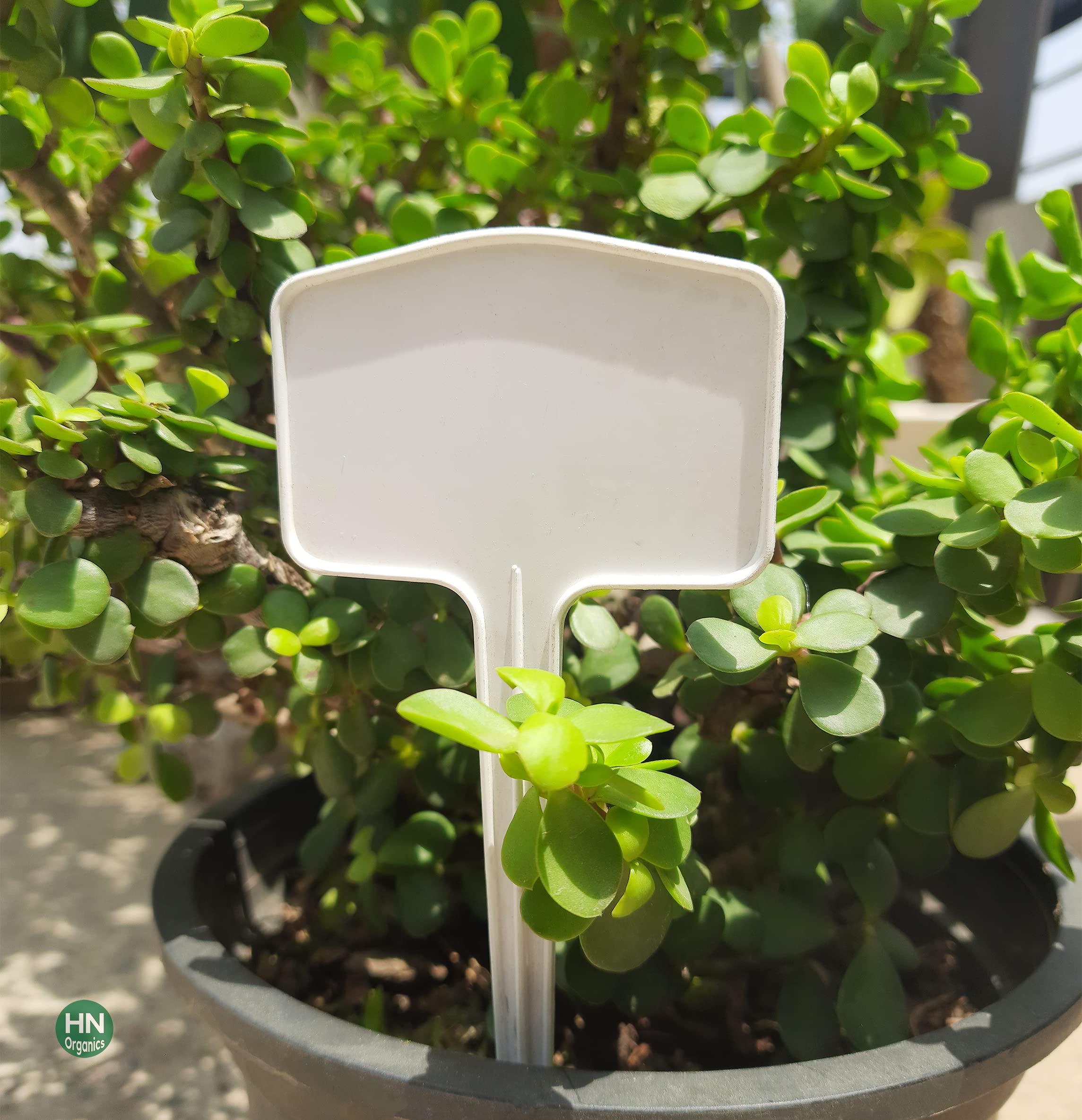 HN Organics Gardening Plant Name Tag - Set of 10 Plant Markers | T-Type White Plant Tags for Nursery Plant Garden | PP Plastic | Reusable Plant Name Tags for Gardening | Writtable Plant Tags for Plant Classfication (B0C58JGTPH) Amazon Price History, Amazon Price Tracker