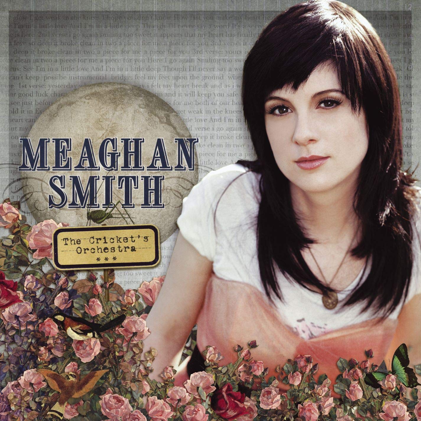The Cricket's Orchestra [Audio CD] Meaghan Smith