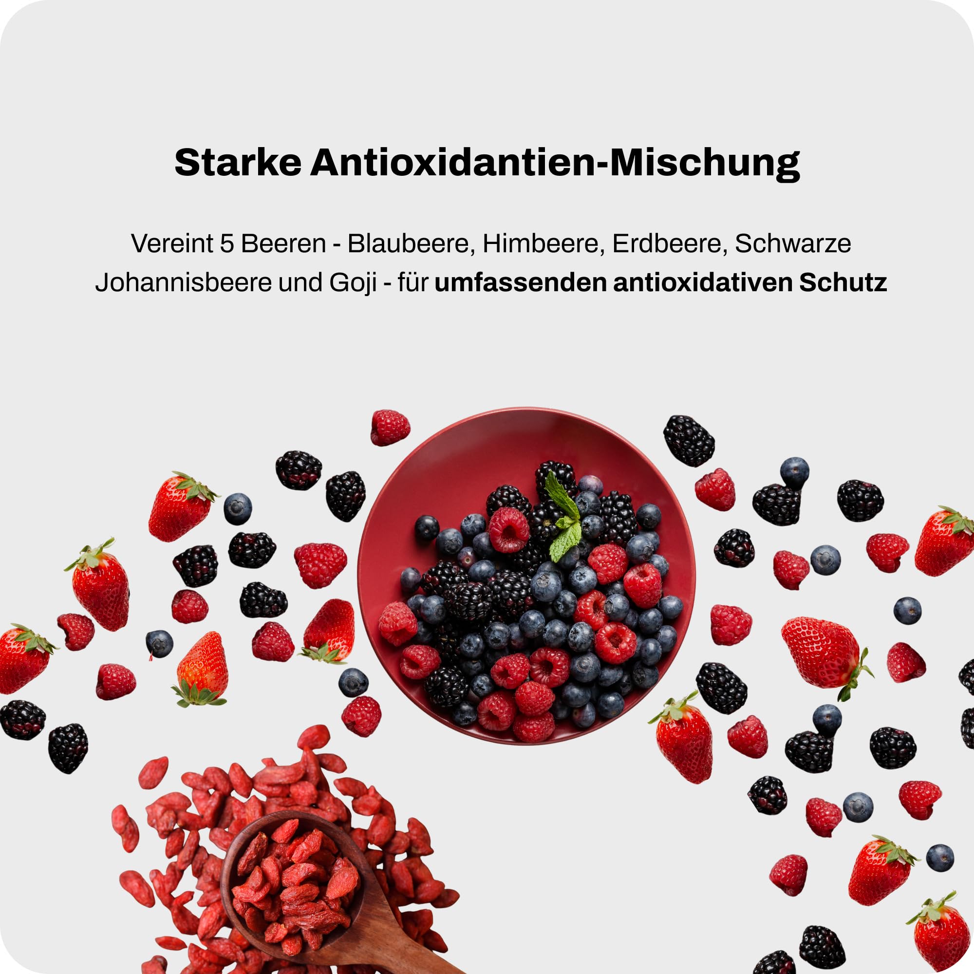Powerlogy Upgraded Organic Berries | BIO Superfood Mix aus 5 Beeren, Präbiotische Ballaststoffe, Zuckerfrei, Reich an Polyphenolen & Vitamin C (250 g)