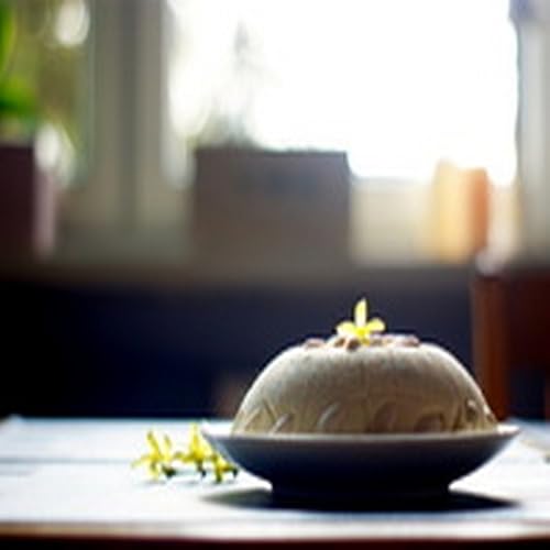 Crispy Tofu Fingers - //medicalbooks.filipinodoctors.org