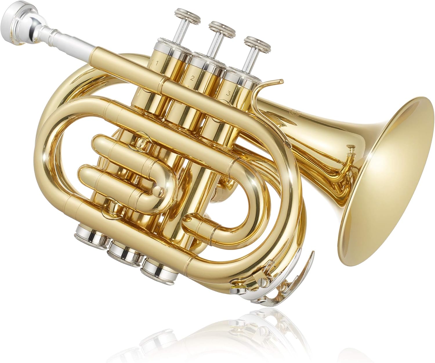 Ashthorpe Bb Brass Pocket Trumpet with Gold Lacquer Finish - Includes Case, Mouthpiece, Gloves, Cleaning Cloth, Valve Oil