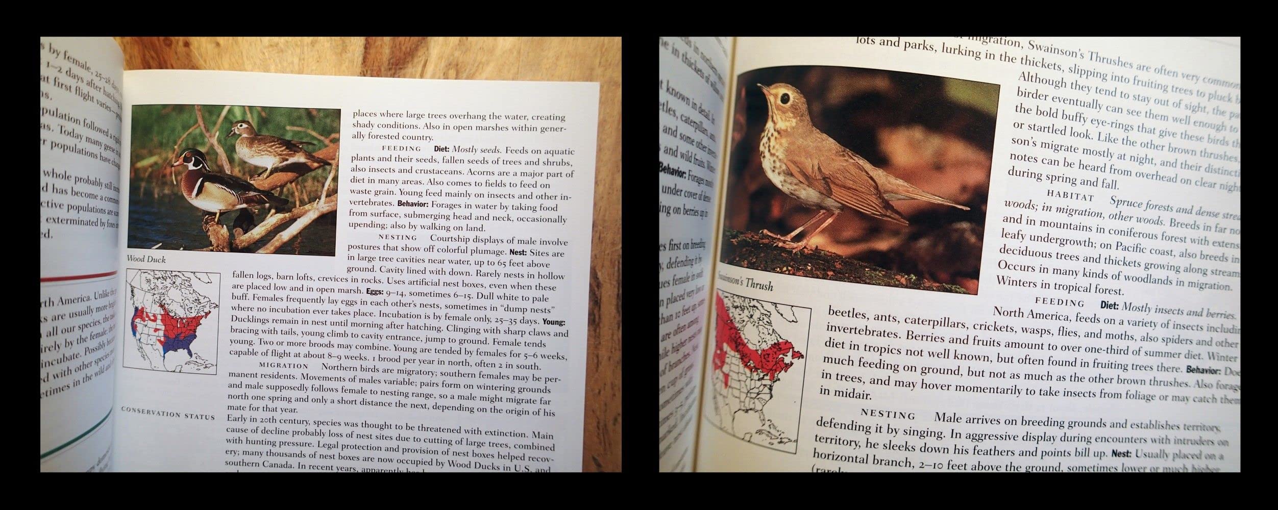 Lives of North American Birds (Peterson Natural History Companions) - Image 4