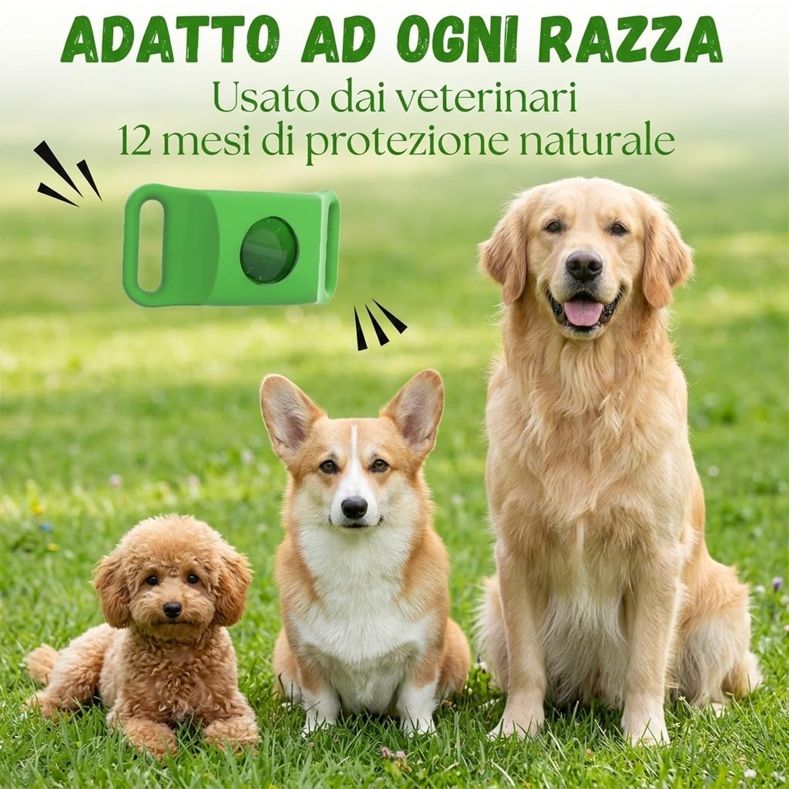 Kanivora Chien, Collier Antiparasite Chien Kanivora, Ingredienti 100% Naturali, Collare Regolabile per Cani, Protegge Da Pulci E Zecche