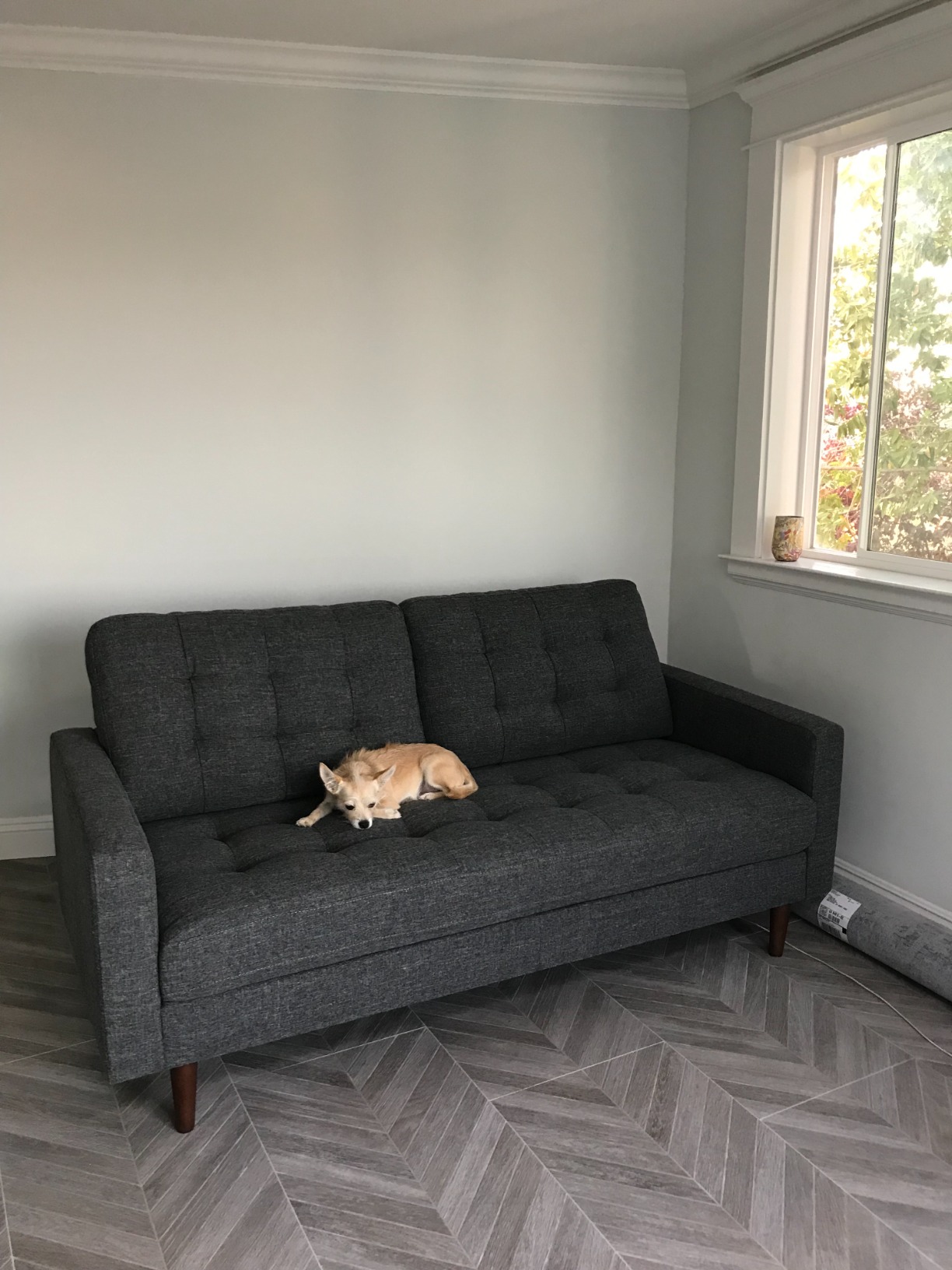 73/mo Finance Amazon Brand Rivet Cove MidCentury Modern Tufted