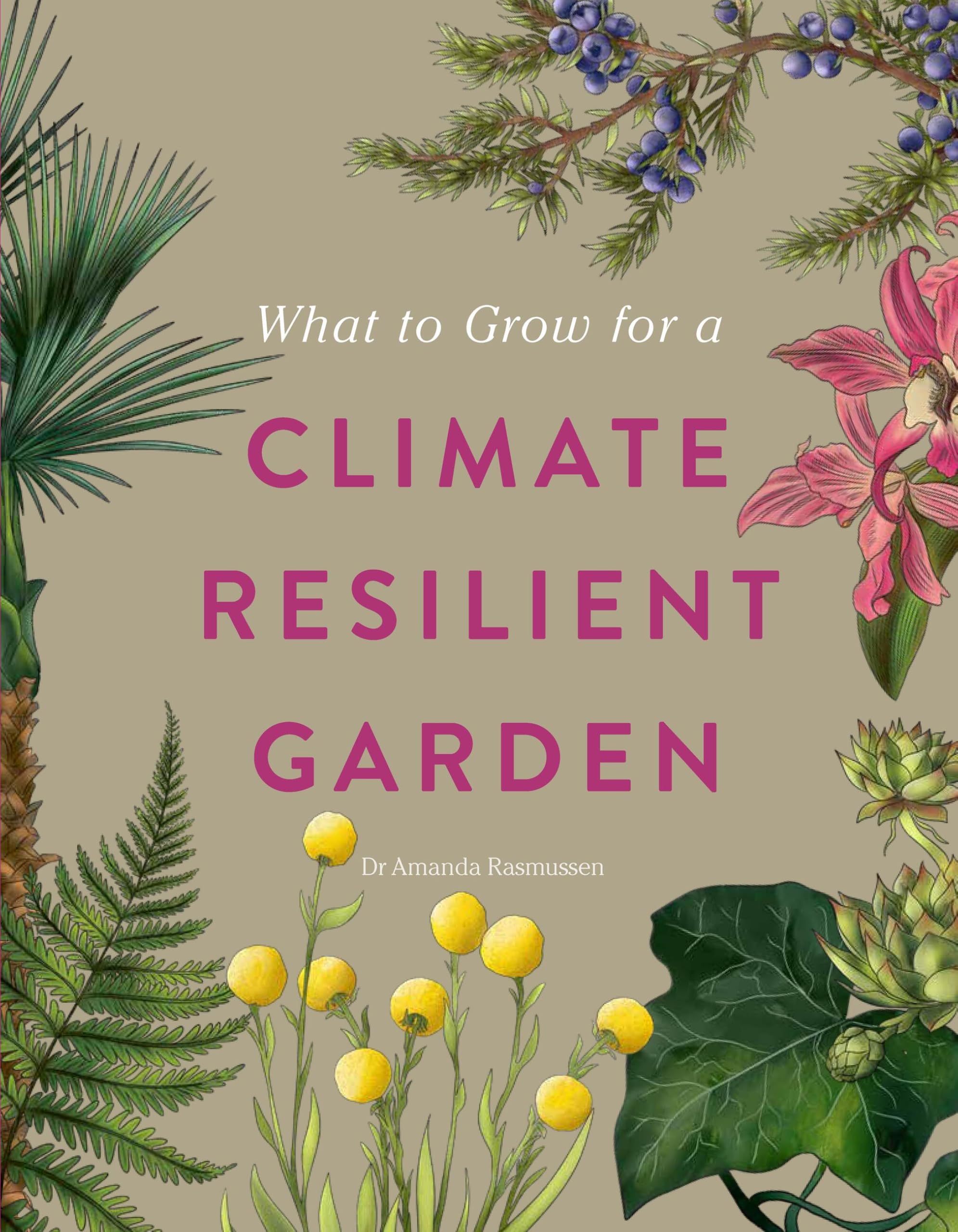 RHS What to Grow for a Climate Resilient Garden: Practical advice for gardeners on plants that can cope in all climates