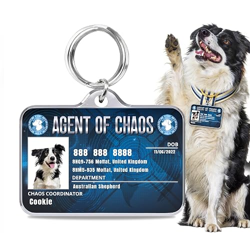 Mocessory Placa de identificación personalizada