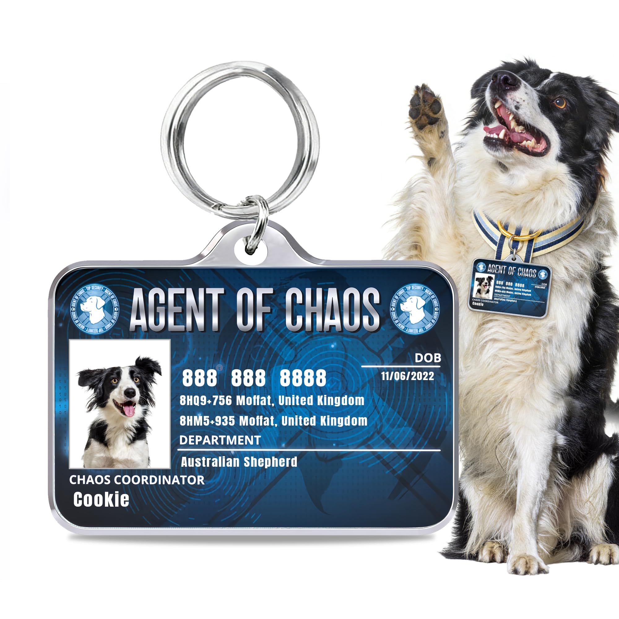 Stainless Steel Personalized Dog & Cat ID Tags - Fun Styles for Sporty Outdoor Pets - Custom Printed Name & Info for Collar Accessories-Agent of Chaos