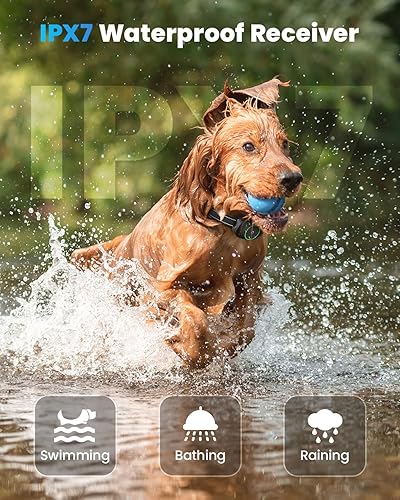 Miniatura 4 de Collar de choque para perro, 3 modos, collar eléctrico de entrenamiento para perros con control remoto impermeable, collar electrónico recargable