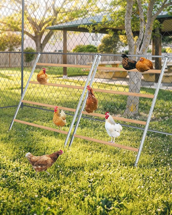 petamore Chicken ROOSTING Bars Extra Large Chicken Perches
