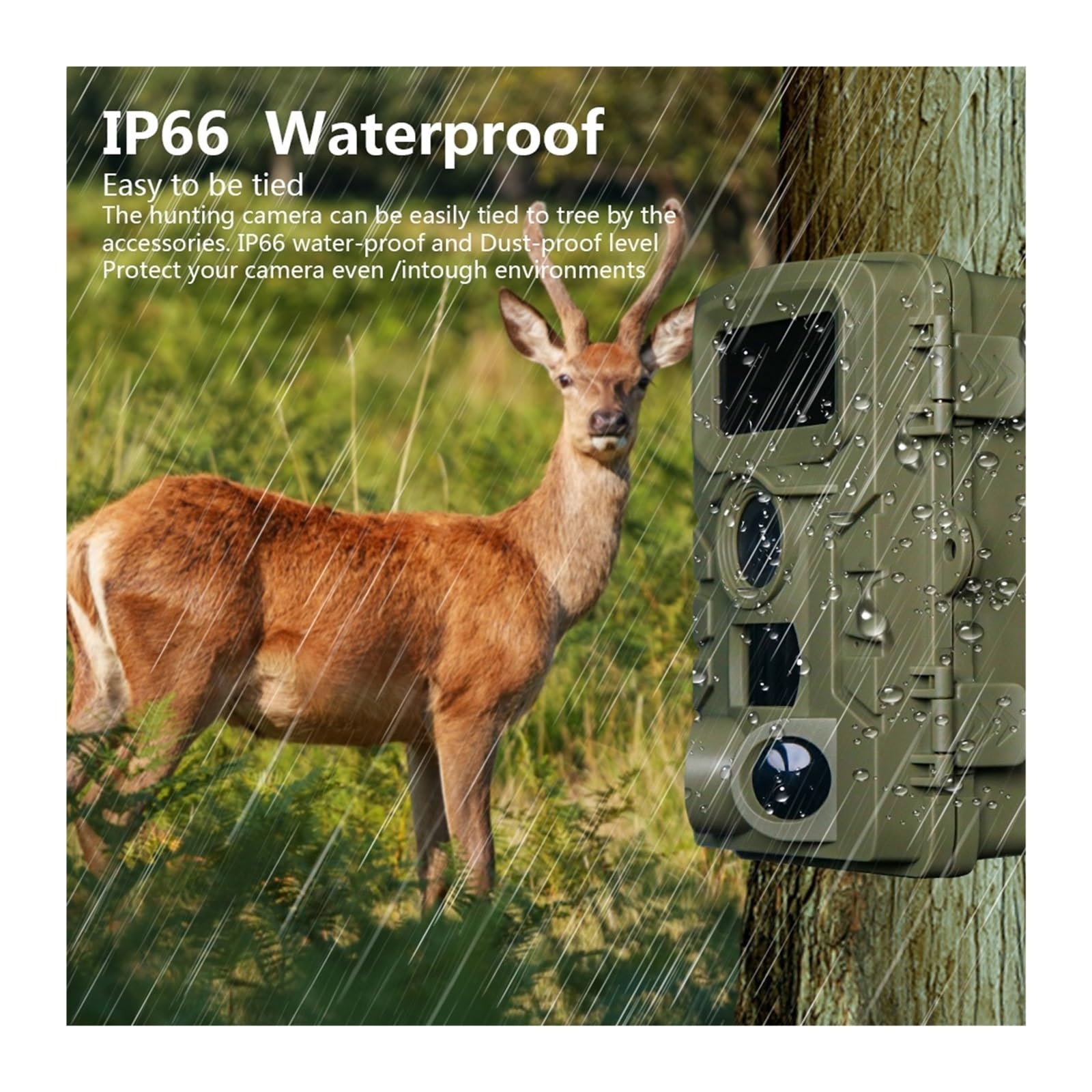 Cámara Vida Silvestre Cámara De Rastreo WiFi 4K 48MP Visión Nocturna IP67 Impermeable 0,5 S Velocidad Disparo For Detección Vida Silvestre Al Aire Libre Juego Monitoreo Confiable Preciso(4K-64g)