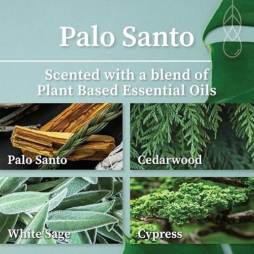 Miniatura 2 de Hemlock Park Apothecary - Trío de velas con mecha de madera, juego de tres velas de 4 onzas hechas a mano con cera de coco natural