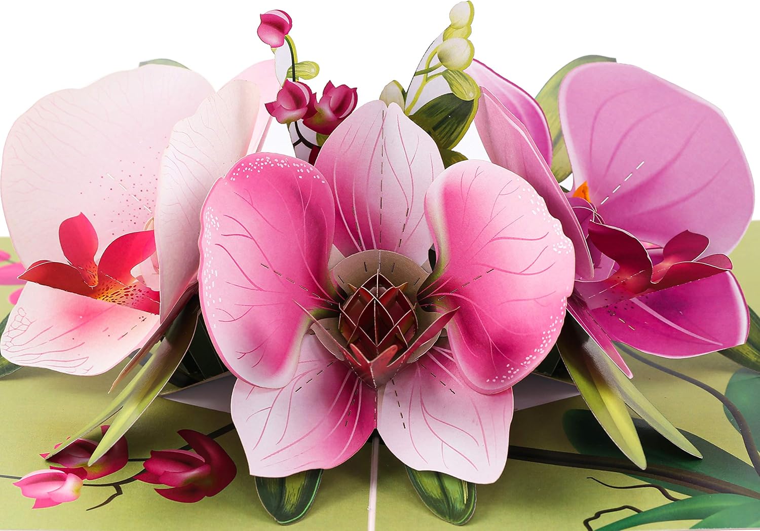 Amazon Com Truance Pop Up Greeting Card Orchid Flower 3d Cards For Birthday Anniversary Mothers Day Thank You Cards Card For Mom Valentine S Day Love Card Birthday Card For Wife All Occasion Amazon Com Truance Pop Up Greeting Card Orchid Flower 3d Cards For Birthday Anniversary Mothers Day Thank You Cards Card For Mom Valentine S Day Love Card Birthday Card For Wife All Occasion