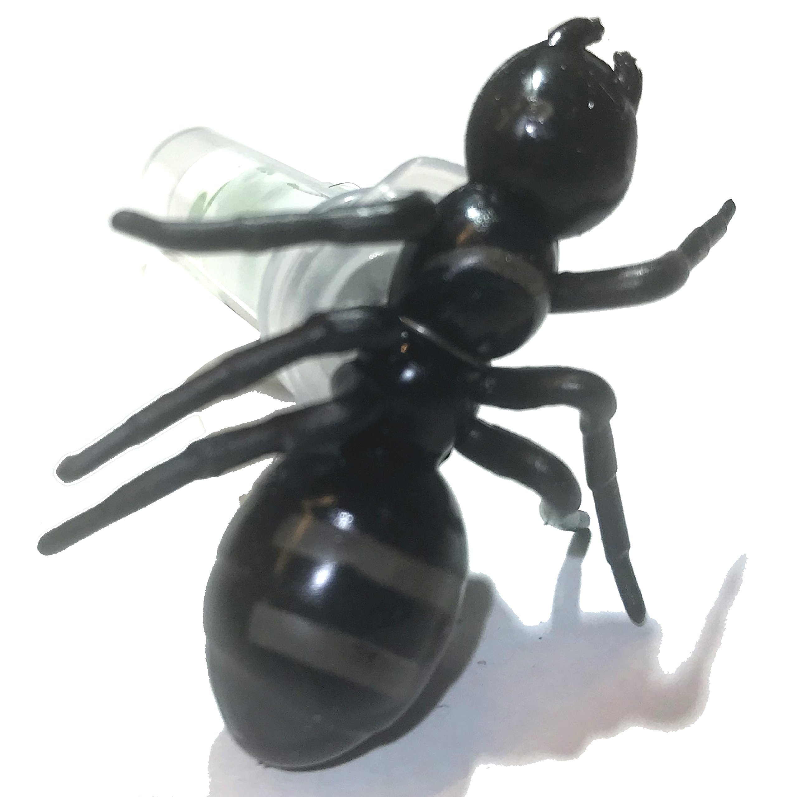 AllCachedUp Sneaky Big Ant Geocache Nano Tube Container Logged & Ready to Hide Waterproof