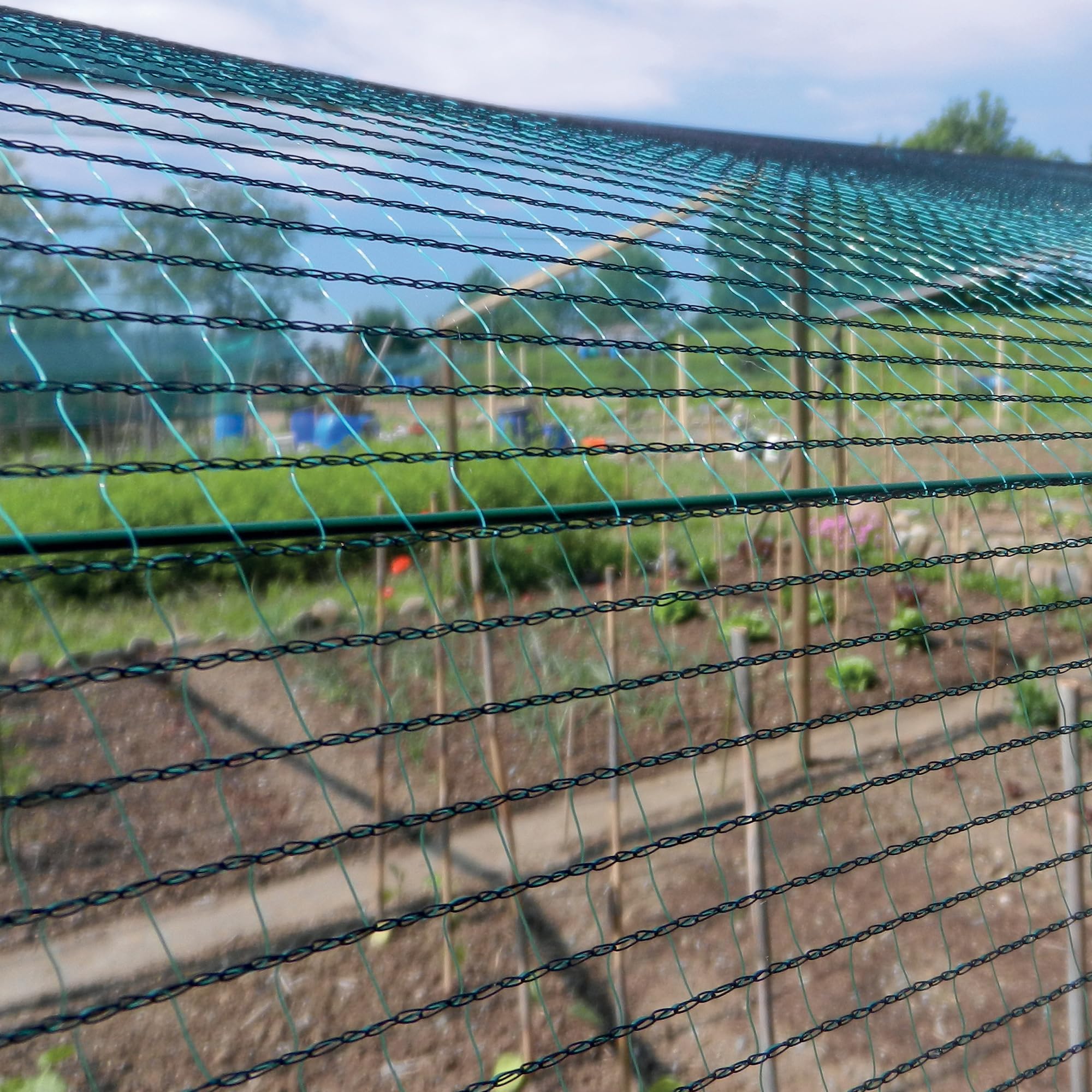 TENAX Defender 4,00x100 m Verde, Rete Antigrandine Tessuta, Protezione Colture e Frutti dalla Grandine