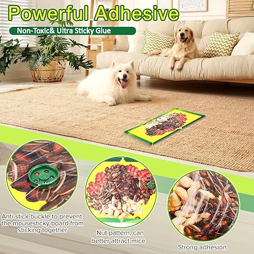 Miniatura 3 de Qualirey Paquete de 6 trampas adhesivas para ratones, tableros de pegamento extra grandes de 8.3 x 11.8 pulgadas con impresión atractante de