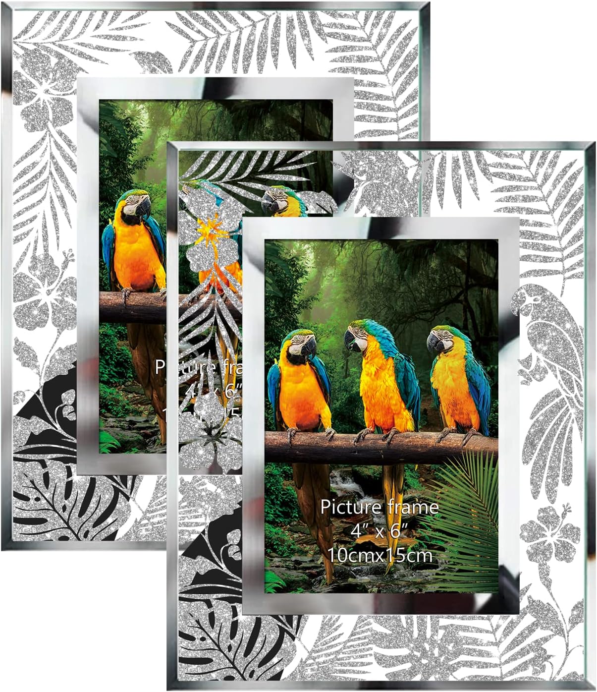 4x6 Hawaii Glass Frames Bundle with 5x7 Glass Frames