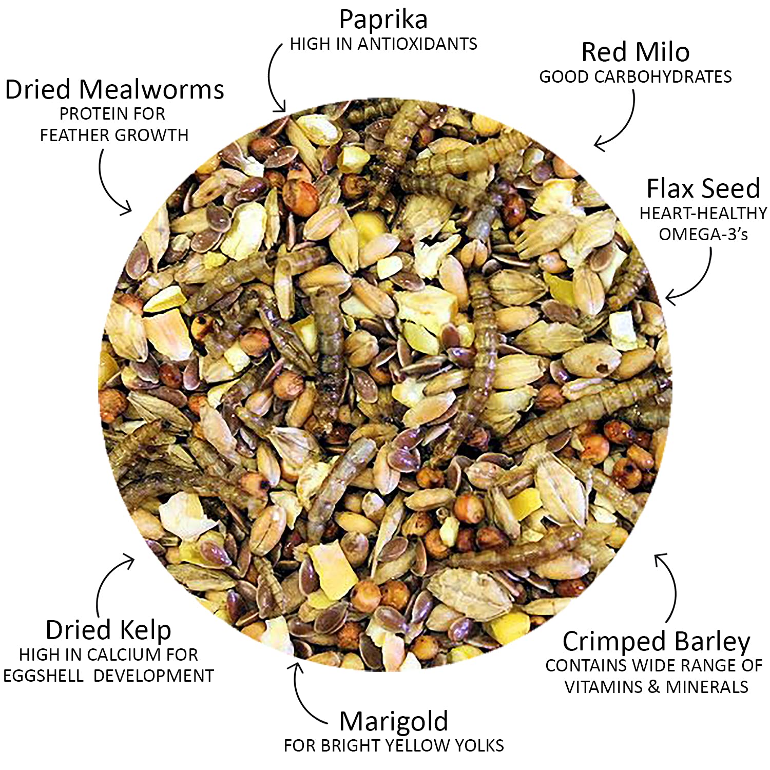 Chicken Ecstasy (8.5 lb) - Healthy All-Natural Backyard Chicken Feed - Natural Grains, Dried Mealworms & Natural Extracts - Promotes Healthy Chickens & Eggs