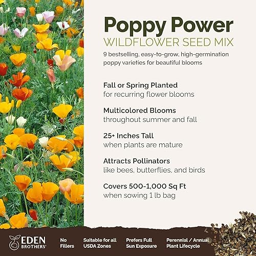 Miniatura 2 de Eden Brothers Poppy Power Flower - Semillas mixtas para plantar, 1 libra, más de 480,000 semillas con maíz rojo, Islandia, amapola de California.