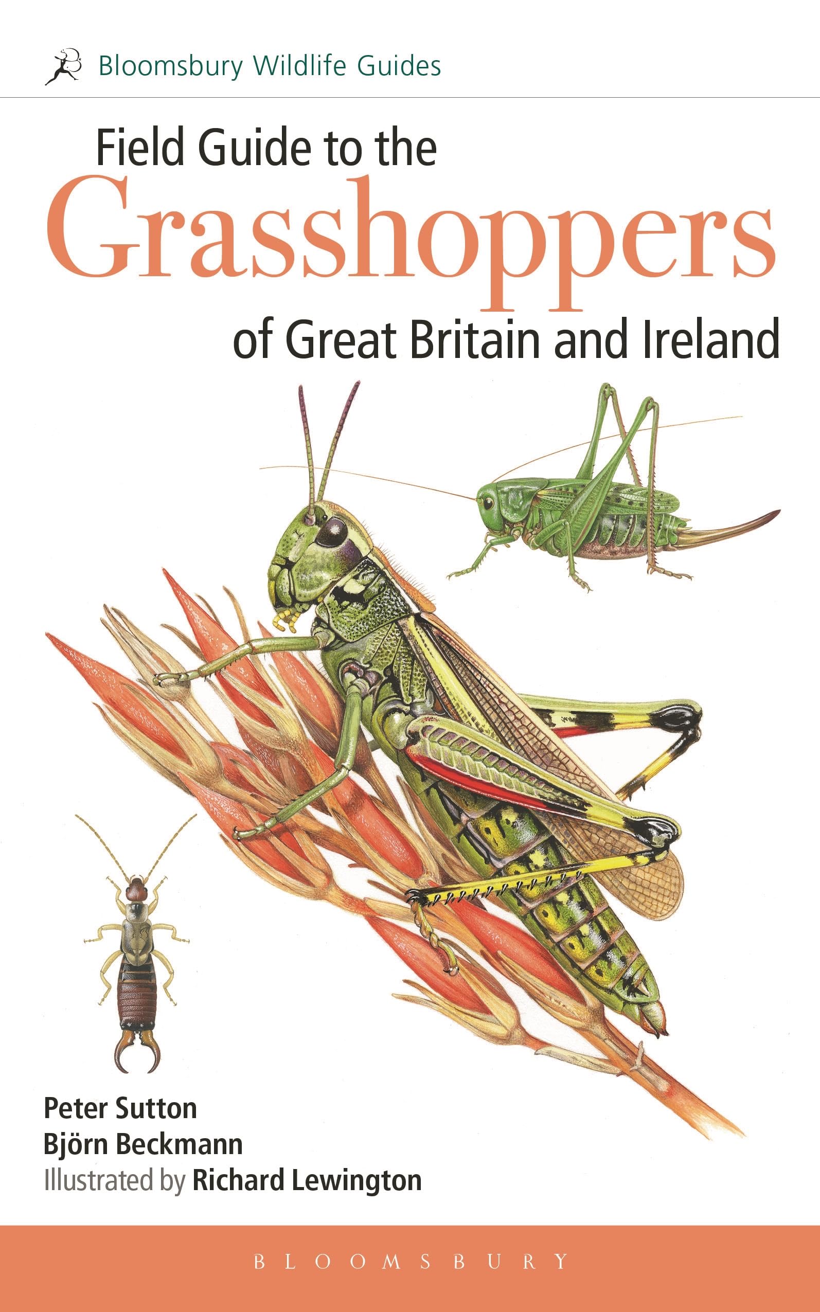 Field Guide Grasshoppers & Allies Gb/ire
