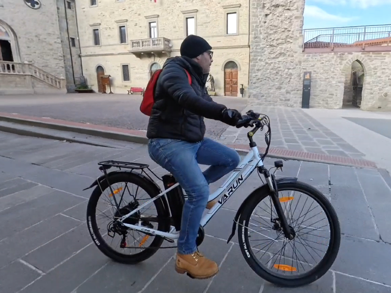 VARUN E-Bike 26 Zoll City Pedelec - 48V 374Wh Akku, 250W Motor, 80km Reichweite