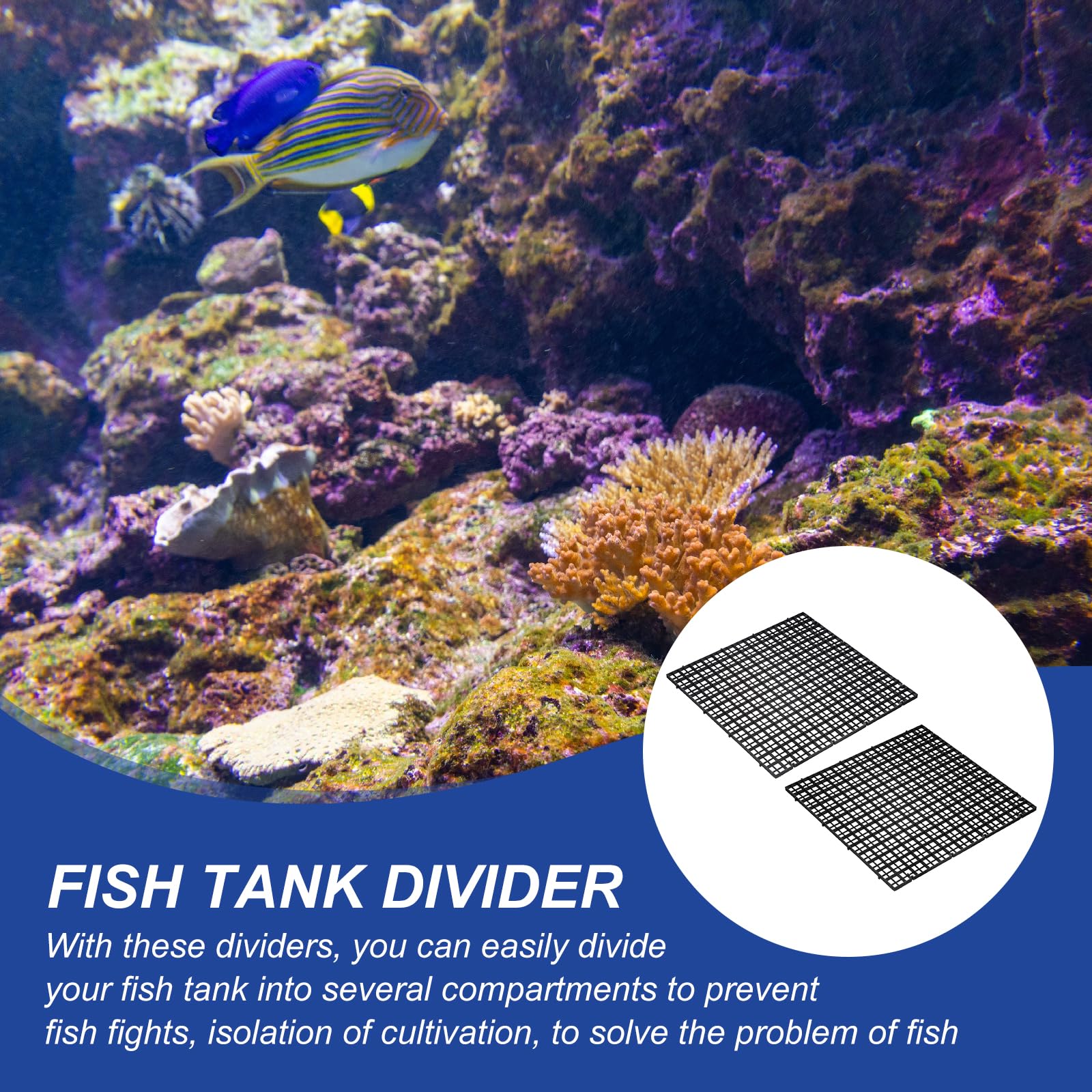 QUARKZMAN 4 Stück Aquarium Tank Trennwand 30x30cm Plastik Eierkiste Lichtdiffusor Gitter Filter Grund Partition Separator Mit Saugnapf Clips Und Saugnäpfen Für Aquarium Schwarz