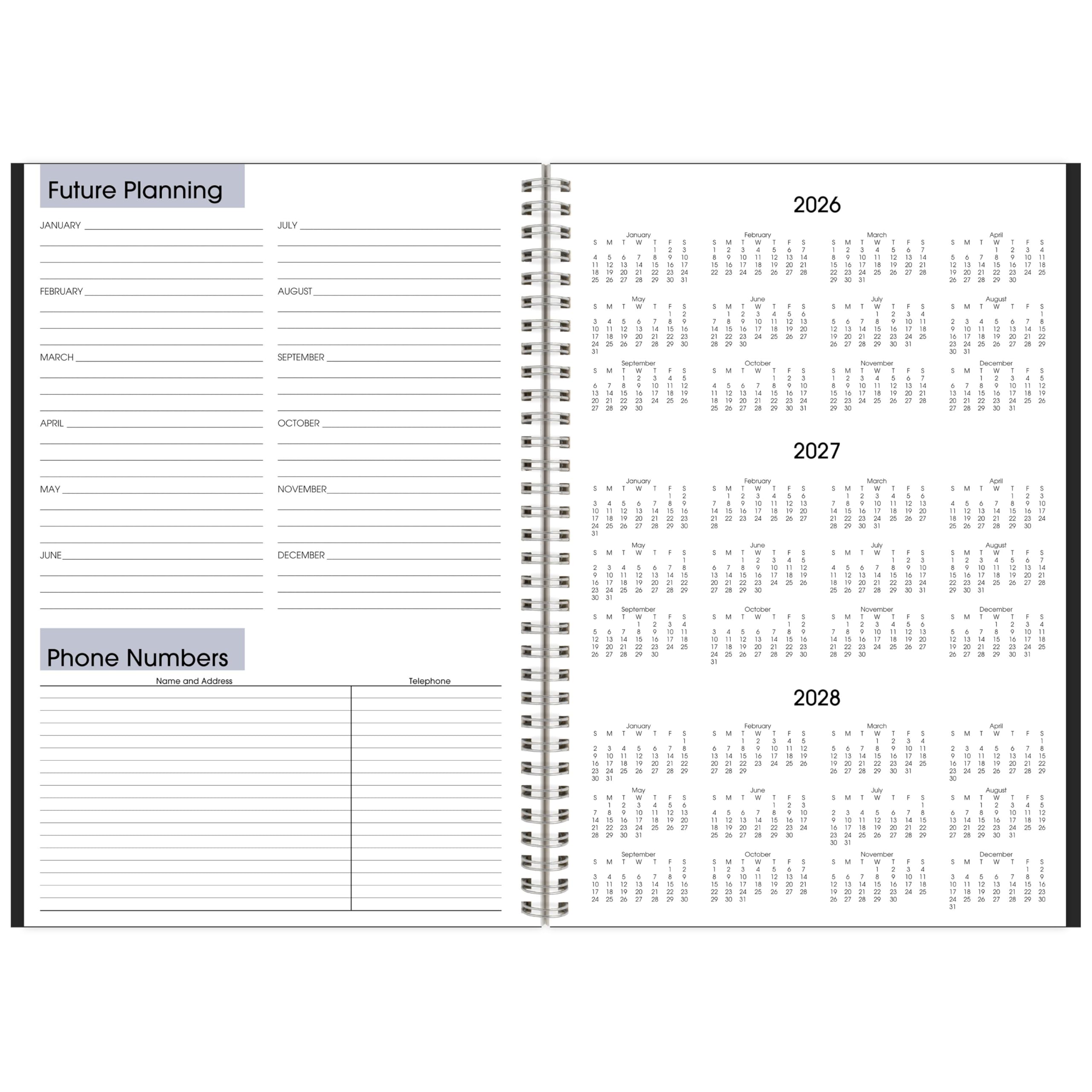 AT-A-GLANCE Agenda 2027, mensile, 14 mesi, dicembre-gennaio, 20,3 x 30,5 cm, DayMinder, nero (SK20027)