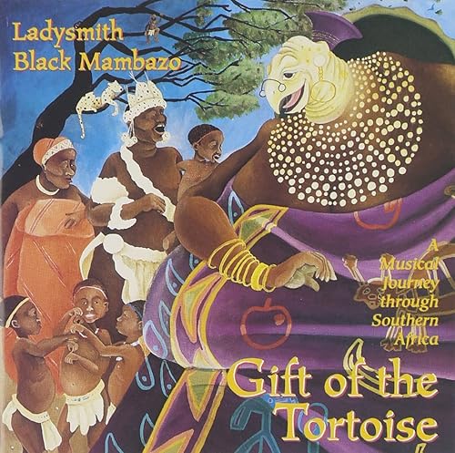 Gift Of The Tortoise A Musical Journey Through Southern Africa