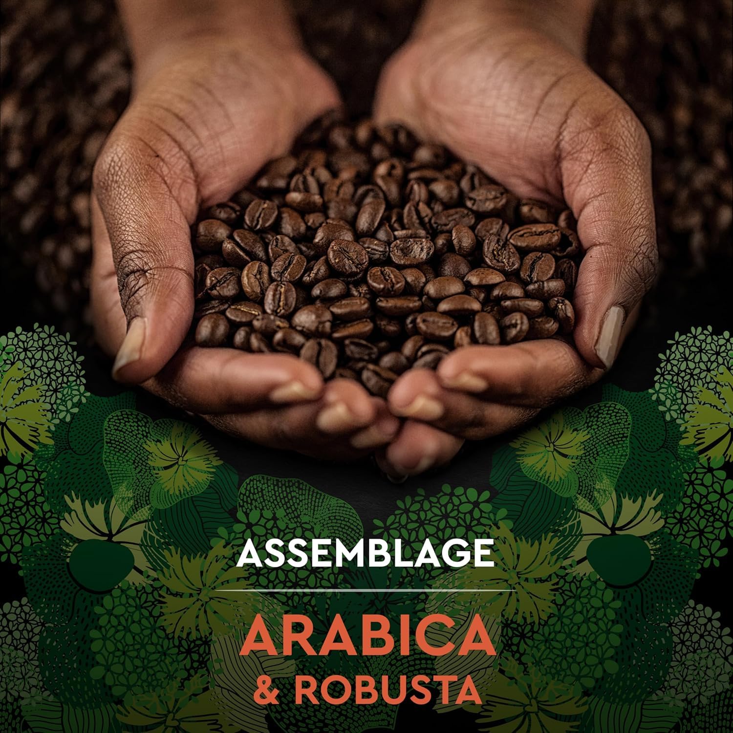 CARTE NOIRE - Bio Intense - Café en Grains Torréfiés - Pur Arabica Biologique - Paquet de 6 kg