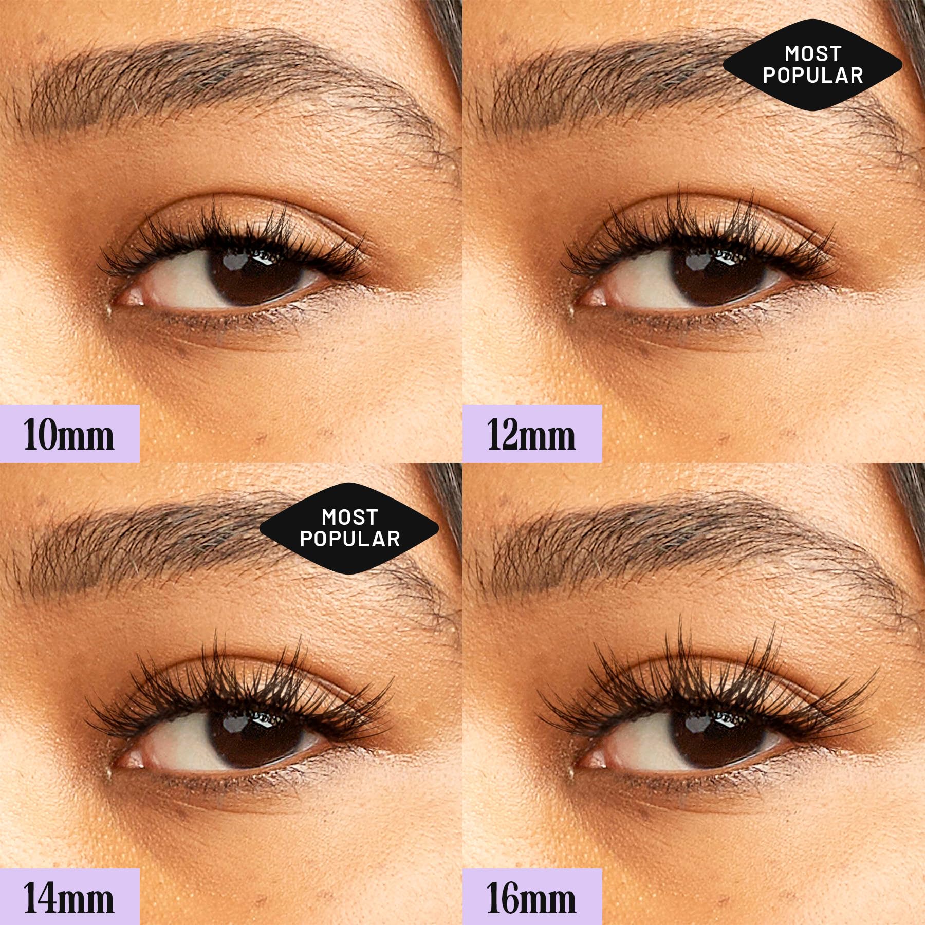 hollywood lashes