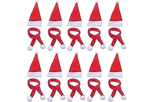 LOOGI Barbie Santa Hat