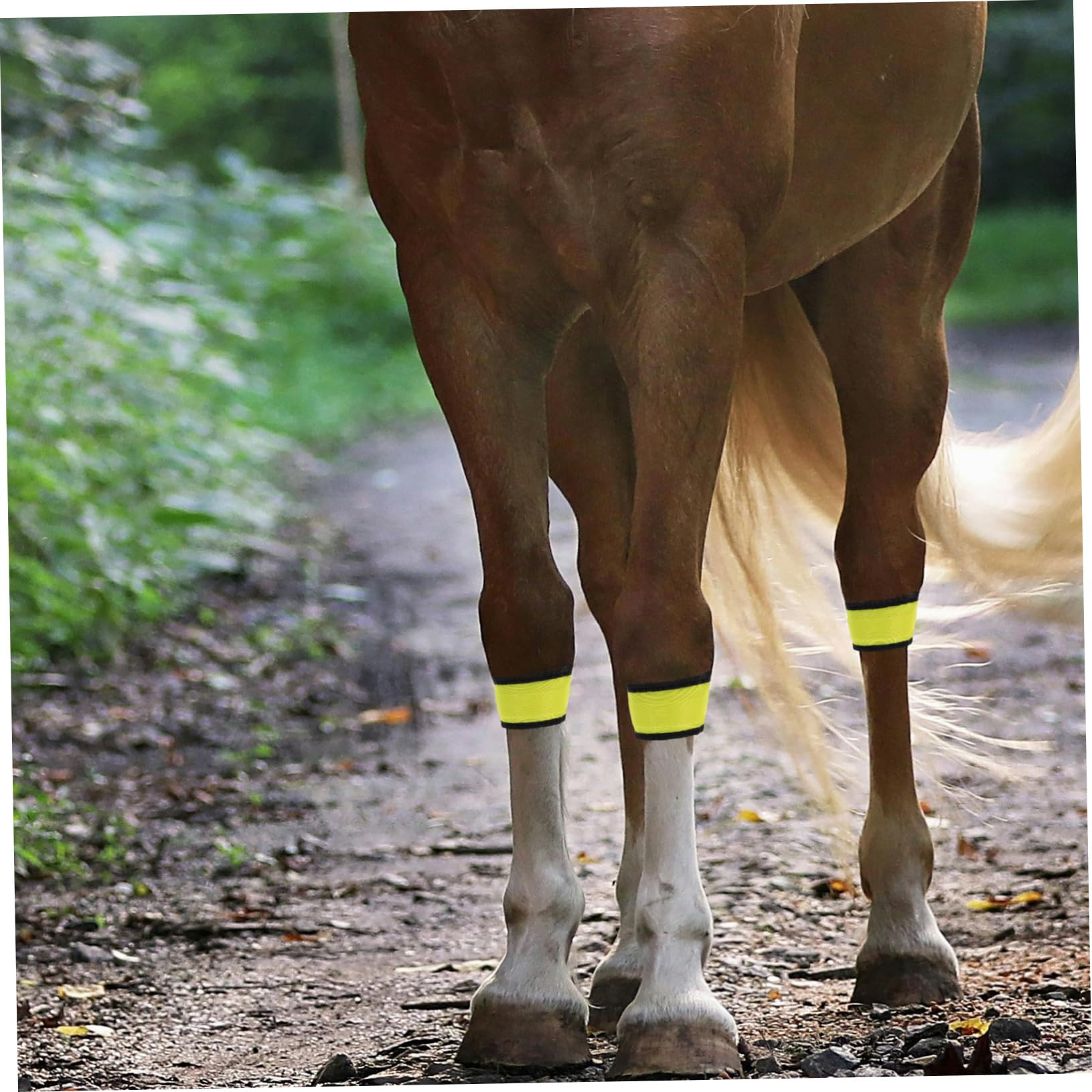 Toyvian 4 Stück Reflektoren Gürtel LED Sicherheitsband Pferdebeinband Gelb aus Stoff Verschleißfest und Tragbar für Sicheres Nachtreiten und Training